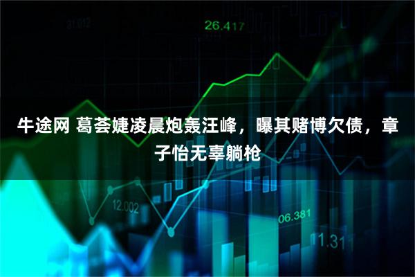 牛途网 葛荟婕凌晨炮轰汪峰，曝其赌博欠债，章子怡无辜躺枪