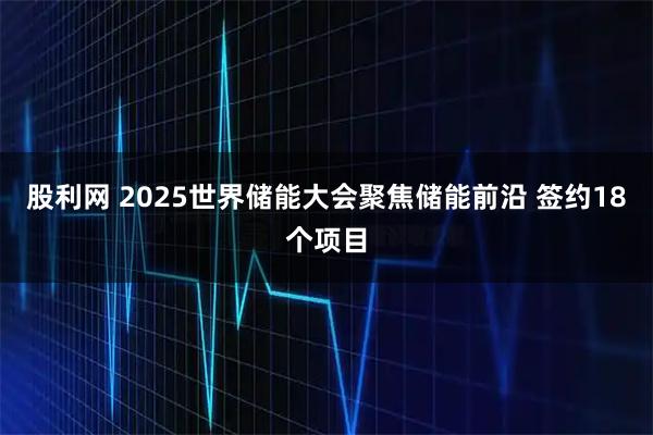 股利网 2025世界储能大会聚焦储能前沿 签约18个项目