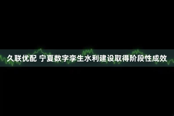 久联优配 宁夏数字孪生水利建设取得阶段性成效