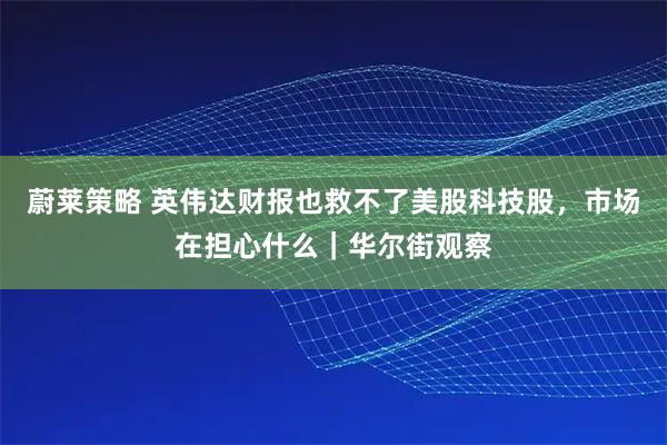蔚莱策略 英伟达财报也救不了美股科技股，市场在担心什么｜华尔街观察