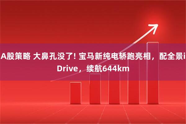 A股策略 大鼻孔没了! 宝马新纯电轿跑亮相，配全景iDrive，续航644km