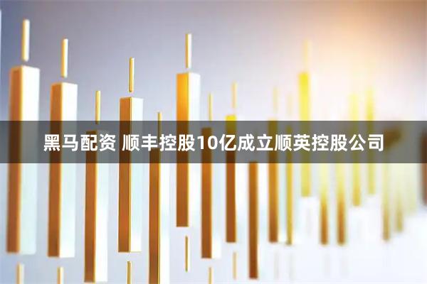 黑马配资 顺丰控股10亿成立顺英控股公司