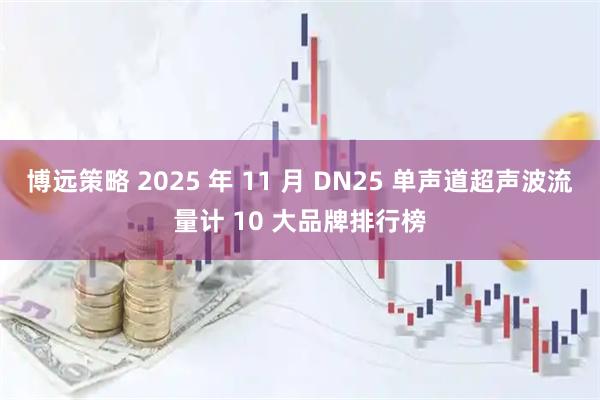 博远策略 2025 年 11 月 DN25 单声道超声波流量计 10 大品牌排行榜