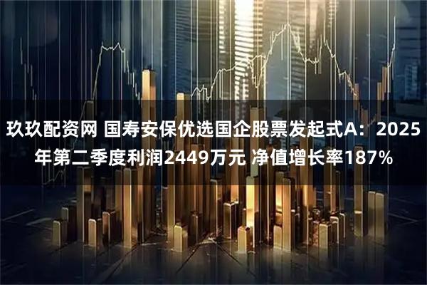 玖玖配资网 国寿安保优选国企股票发起式A：2025年第二季度利润2449万元 净值增长率187%