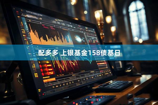 配多多 上银基金158债基日